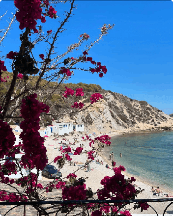 Coastal beach with pink flowers